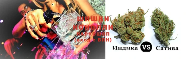 гашик Верея