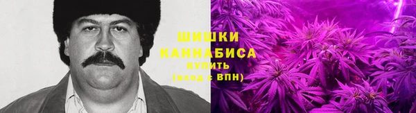гашик Верея