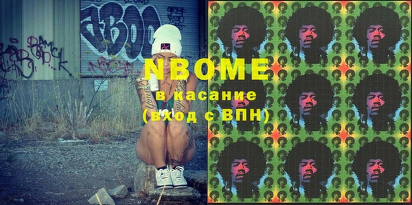 гашик Верея