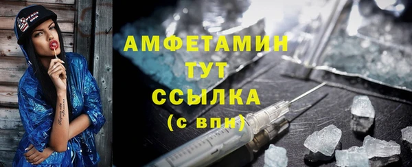 гашик Верея