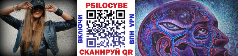 ОМГ ОМГ tor  Калач-на-Дону  Галлюциногенные грибы Psilocybe 